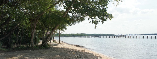 Pulau Ubin plage