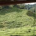 Weekend à Cameron Highlands (Malaisie) Préparation du voyage ! Tout d’abord premier stop à Johor Bahru pour échanger nos berlines pour un 4×4 Land Rover Defender de 10 ans d’âge. Raison officielle : c’est pour...