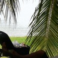 Arrivée il y a 18 mois à Singapour, Elodie fait le bilan à mi-chemin de son séjour dans la Cité-Etat. Entre la gestion de ses 3 ang mo monkeys, son Journal...